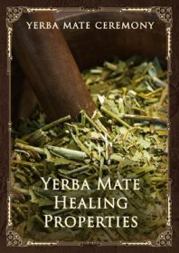 Yerba Mate Healing Properties