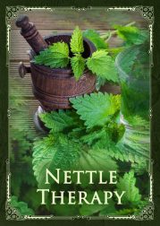 Phytotherapy: Herbal Nettle Tea