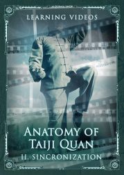 Anatomy of Taiji Quan. Part II: Synchronization