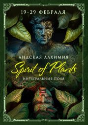 Программа «Андийская алхимия. Spirit of Plants», Сакральная долина инков