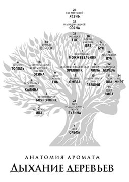Анатомия ароматов. Дыхание деревьев
