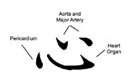Иероглиф синь (Xin, 心) имеет три составляющие: сердце как внутренний сосуд тела, сердце Совершенной истины и сердце Высшей истины.